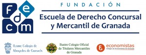 Fundación Dcho Concursal